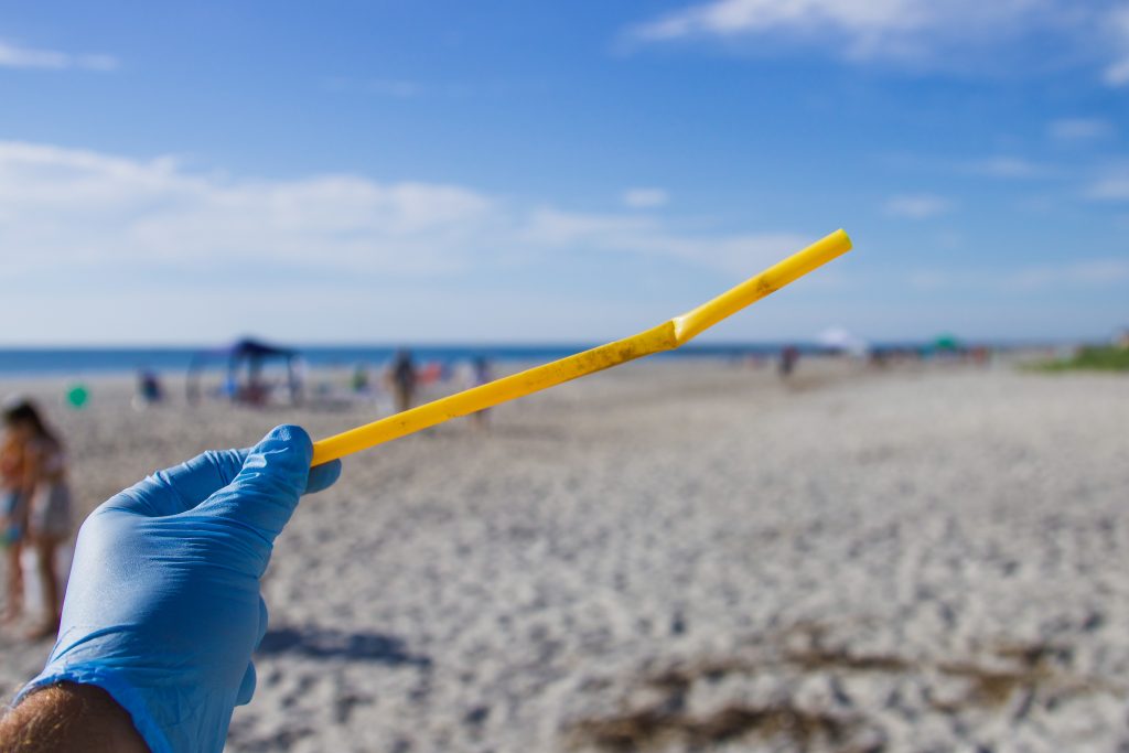 The Mobilizing Spirit: Beach Cleanups and Community Engagements